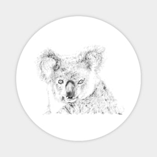 Koala appreciation portrait Magnet